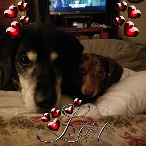 Meet your Posher, Shawna